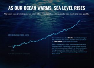 What You Need To Know About Sea-Level Rise, Below2C