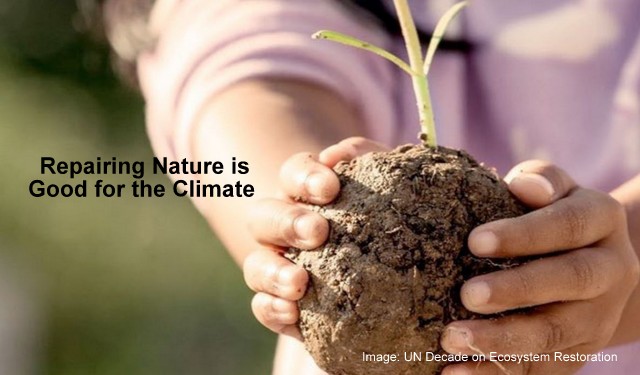 Repairing Nature Is Also Good For The Climate, Below2C